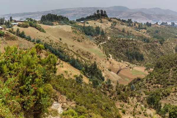 エチオピアの丘陵性の景色复古工匠工作桌 — ストック写真
