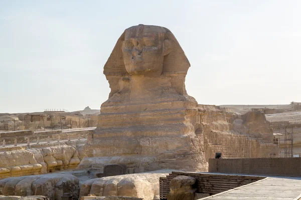 Sphinx — Stock Photo, Image