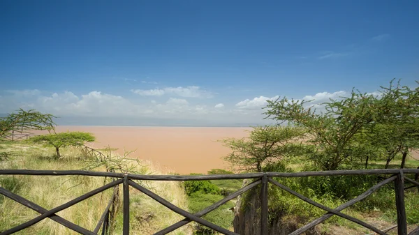 Березі Langano озера — стокове фото