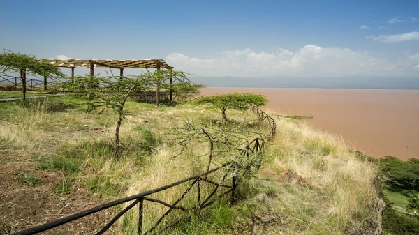 Le coste del Lago di Langano — Foto Stock