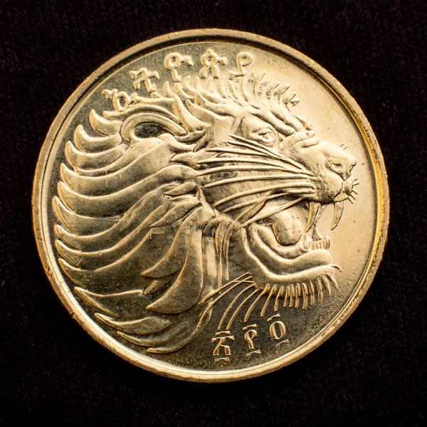 La cara de un león en una moneda — Foto de Stock