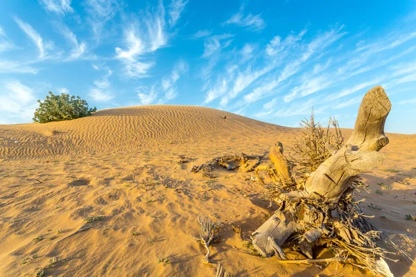 Arid Land — Stock Photo, Image