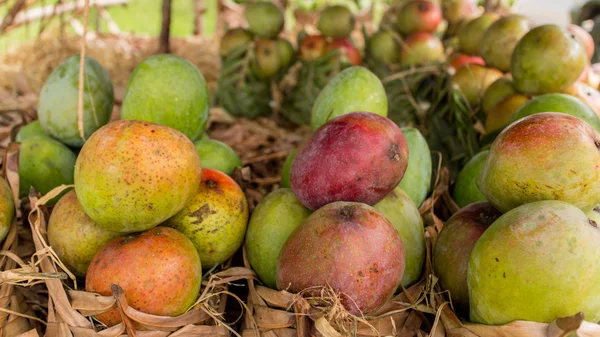 Mango's op een lokale vrucht staan — Stockfoto