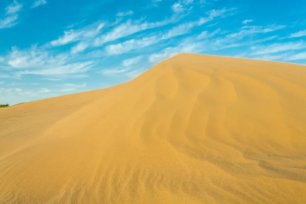 Dürres Land — Stockfoto