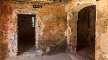 genç çocuklar için hücreleri