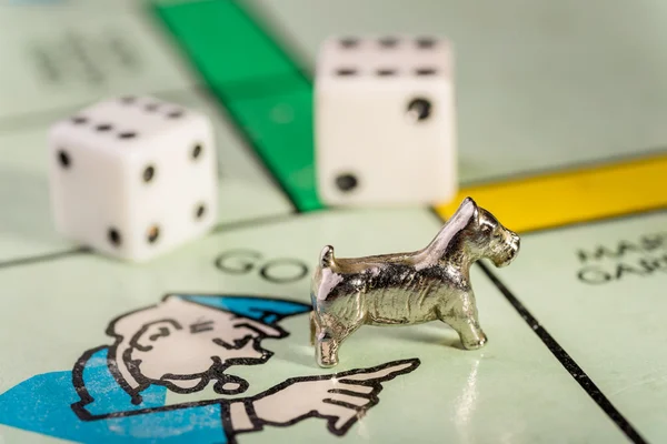 hapse Scottie köpek gidecek