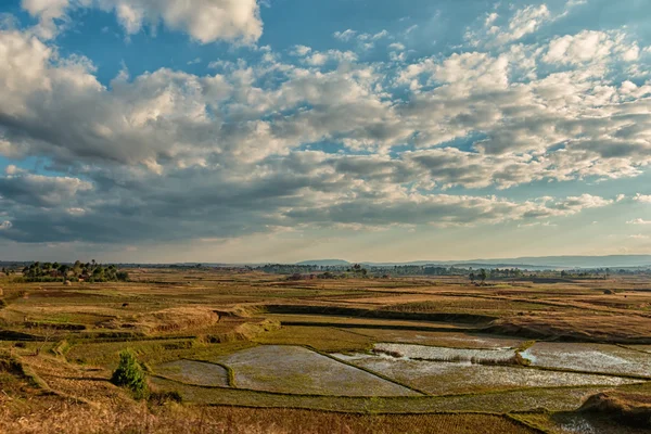 Campos de arroz malgaxe — Fotografia de Stock