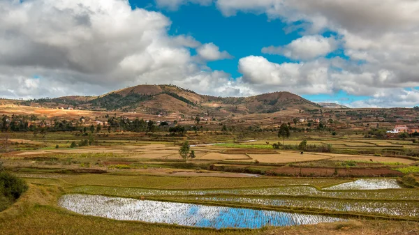 Madagáscar naturalmente bonito — Fotografia de Stock