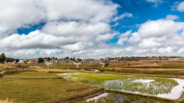 Naturally Beautiful Madagascar — Stock Photo, Image