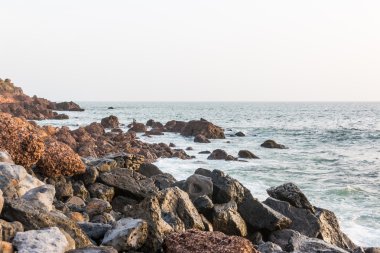 dakar'ın kıyılarında