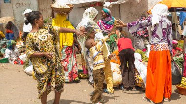 Harar jugol