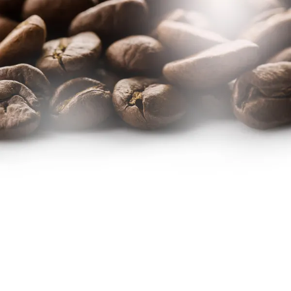 Beyaz arkaplanda kahve çekirdeği — Stok fotoğraf