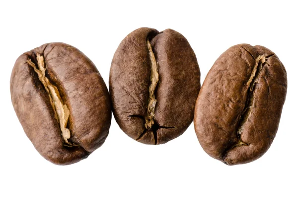 Coffee beans Stock Image