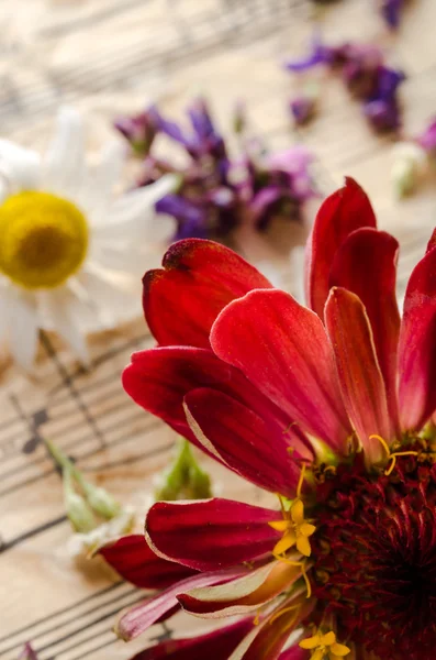 Vintage nature morte avec des fleurs sauvages — Photo