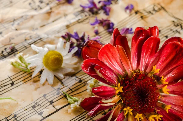 Bodegón vintage con flores silvestres — Foto de Stock