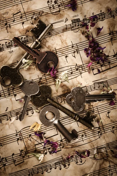 Vintage Stilleven met oude sleutels — Stockfoto