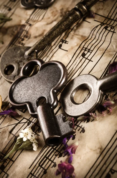 Vintage still life with old keys — Stock Photo, Image