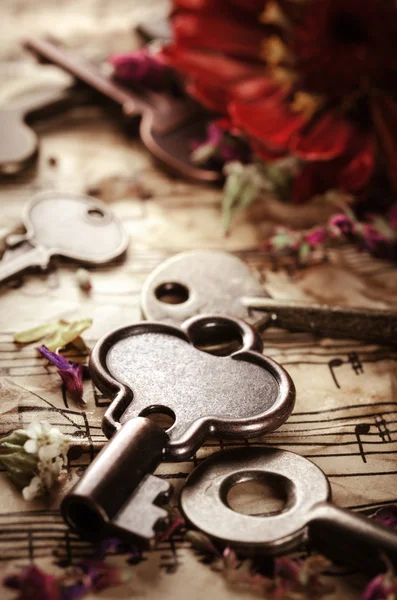 Vintage still life with old keys — Stock Photo, Image