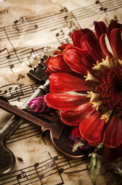 Vintage still life with old keys — Stock Photo, Image