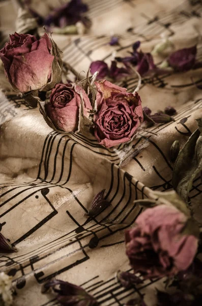 Staré hudebniny s suchý růže — Stock fotografie
