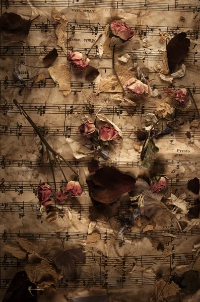 用干玫瑰花的旧音乐笔记。 — 图库照片