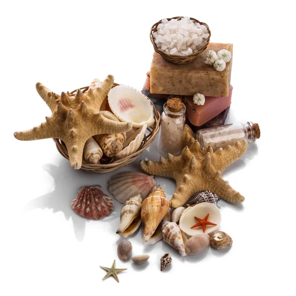 Spa with seashells — Stock Photo, Image
