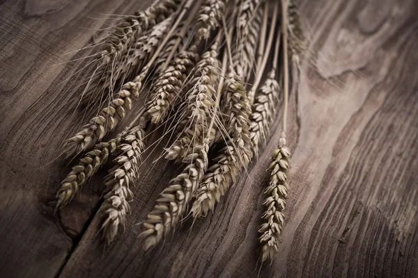 小麦的复古穗子 — 图库照片
