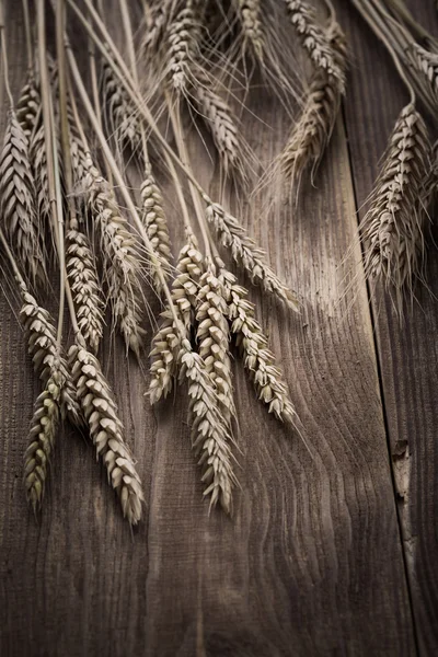 Pere d'annata di grano — Foto Stock