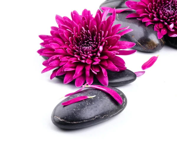 Wellness mit Blumen und Steinen — Stockfoto
