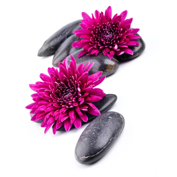 Wellness mit Blumen und Steinen — Stockfoto