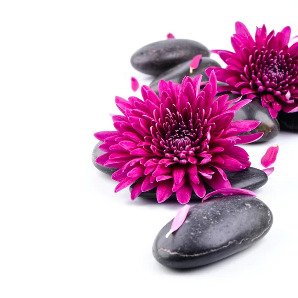 Wellness mit Blumen und Steinen — Stockfoto