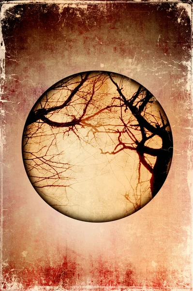 Grunge background with photo of dry trees — Stock Photo, Image