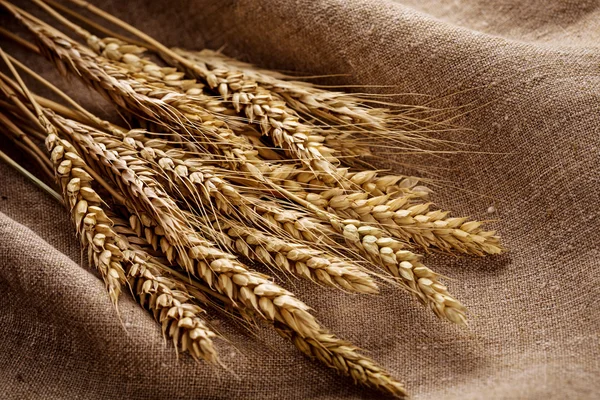 Orecchie di grano su fondo lino — Foto Stock