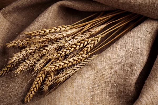 Orecchie di grano su fondo lino — Foto Stock