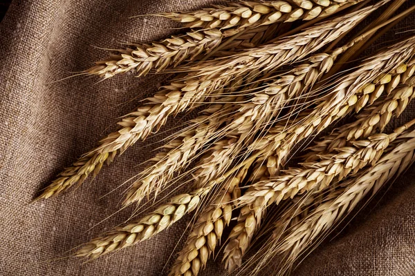 Orecchie di grano su fondo lino — Foto Stock