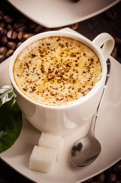 Capuchino — Foto de Stock