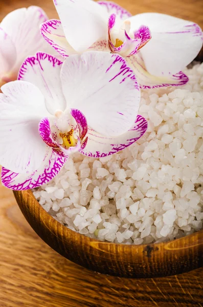 Pink spa still life — Stock Photo, Image