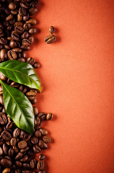 Grãos de café e folhas de café — Fotografia de Stock