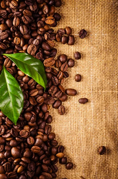 Coffee beans and coffee leaves on vintage background — Stock Photo, Image