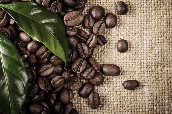 Coffee beans and coffee leaves on vintage background — Stock Photo, Image