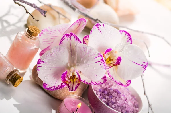 Orchideenblume — Stockfoto