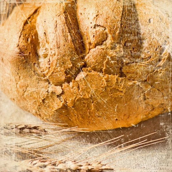 Pane e grano — Foto Stock