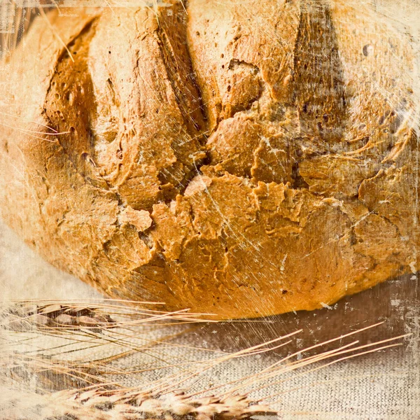 Brood en tarwe — Stockfoto