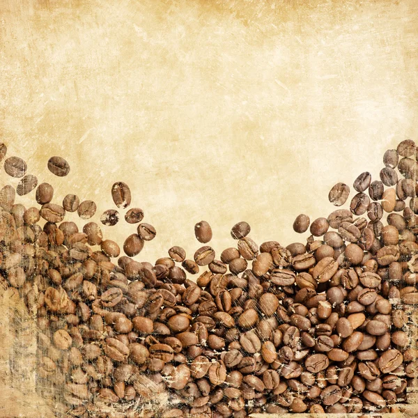 Ročník kávy — Stock fotografie