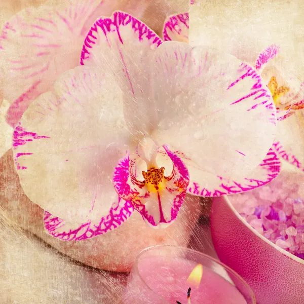 Spa Stilleben med pink orchid blommor — Stockfoto
