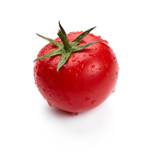 Tomaten — Stockfoto