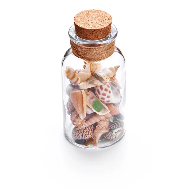 Seashells in bottle — Stock Photo, Image