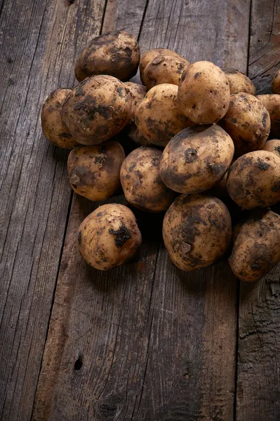 Zralé brambory — Stock fotografie