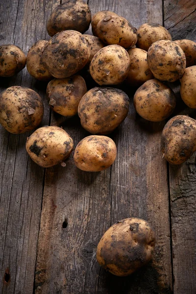 Zralé brambory — Stock fotografie