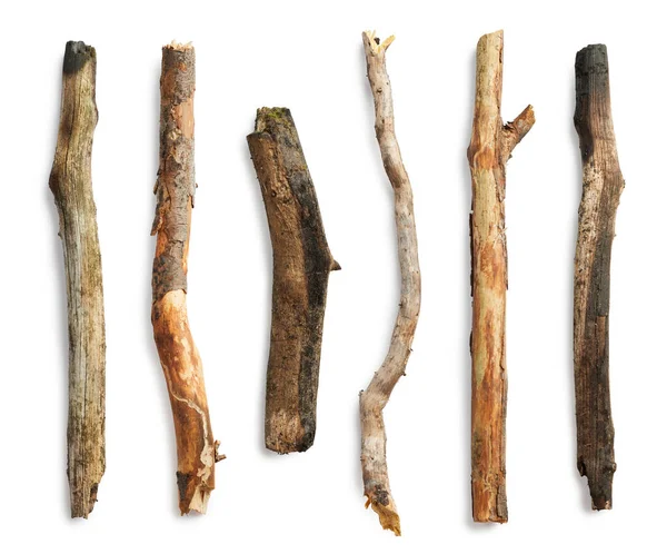 Baumzweig Isoliert Auf Weißem Hintergrund Holzstäbchen — Stockfoto